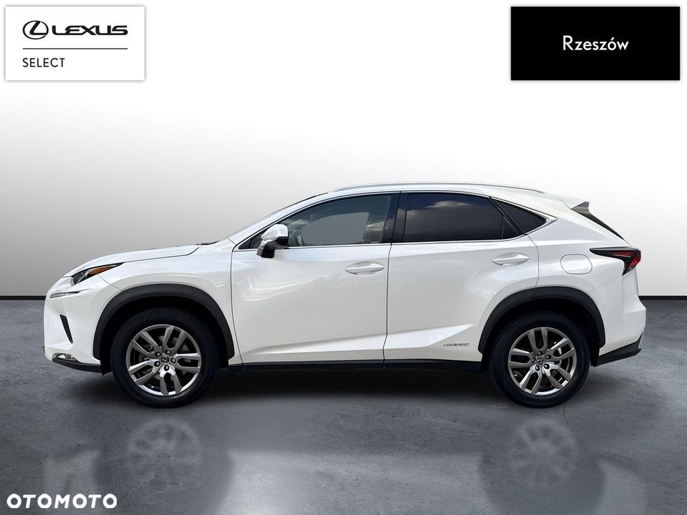 Lexus NX 300h Business Edition AWD - 2