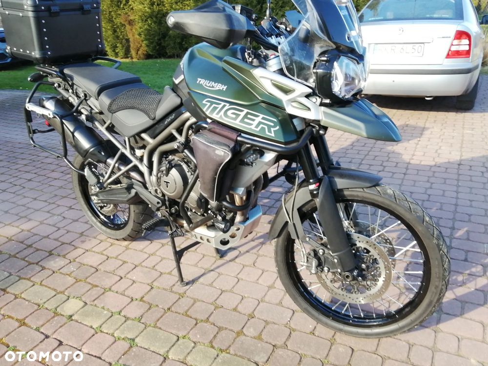 Triumph Tiger - 8