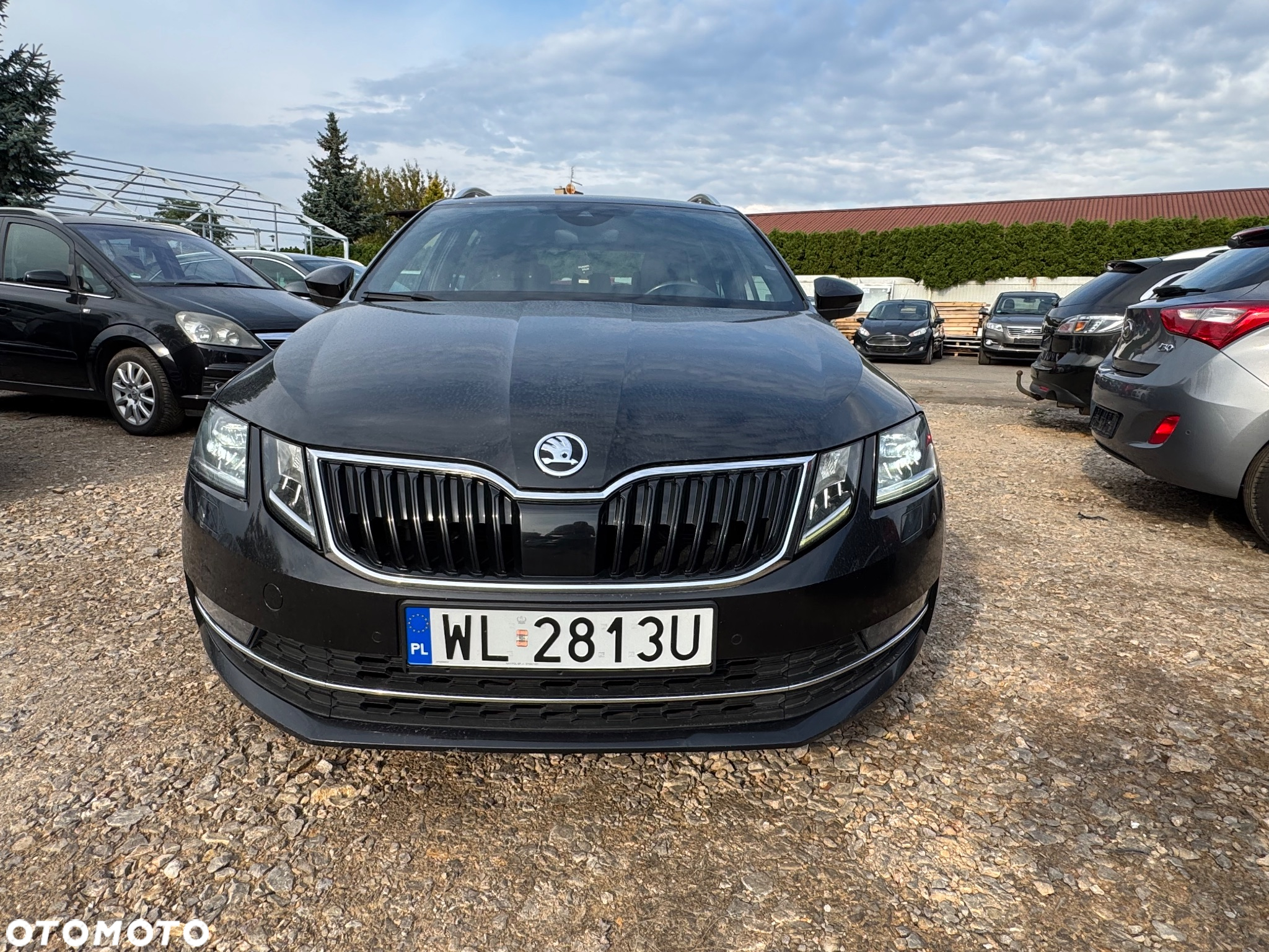 Skoda Octavia 2.0 TDI 4x4 L&K DSG - 7