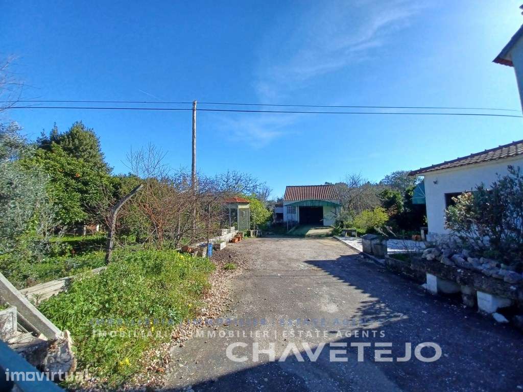 Quinta com moradia, garagem e furo a poucos minutos da Albufeira do... - Grande imagem: 4/35