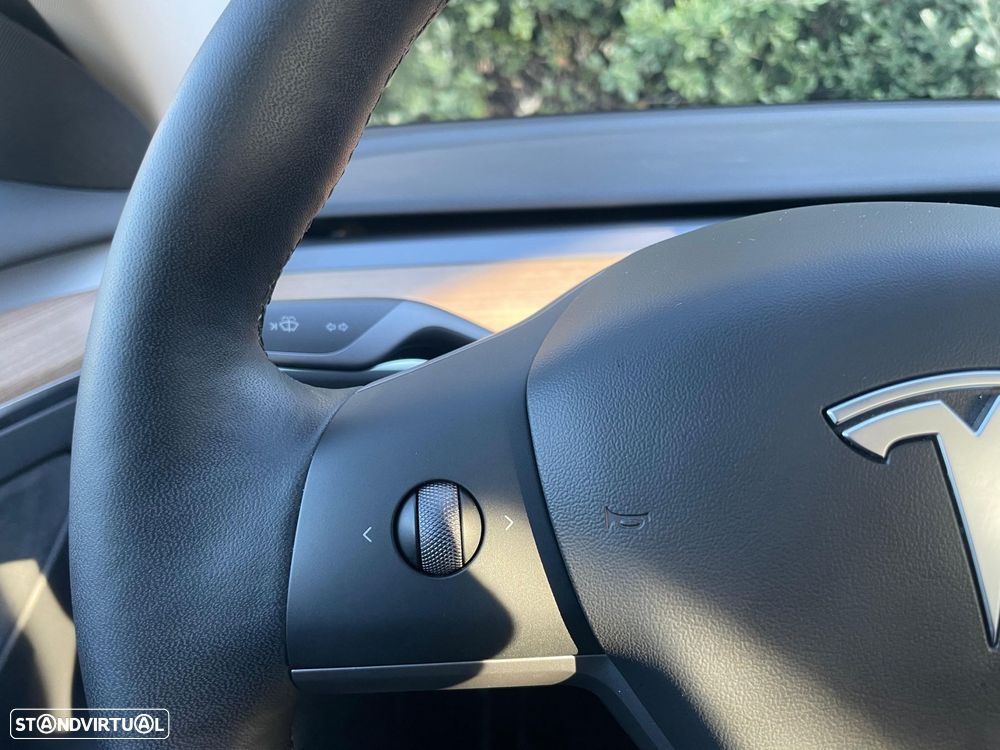 Tesla Model 3 Standard RWD Plus - 20