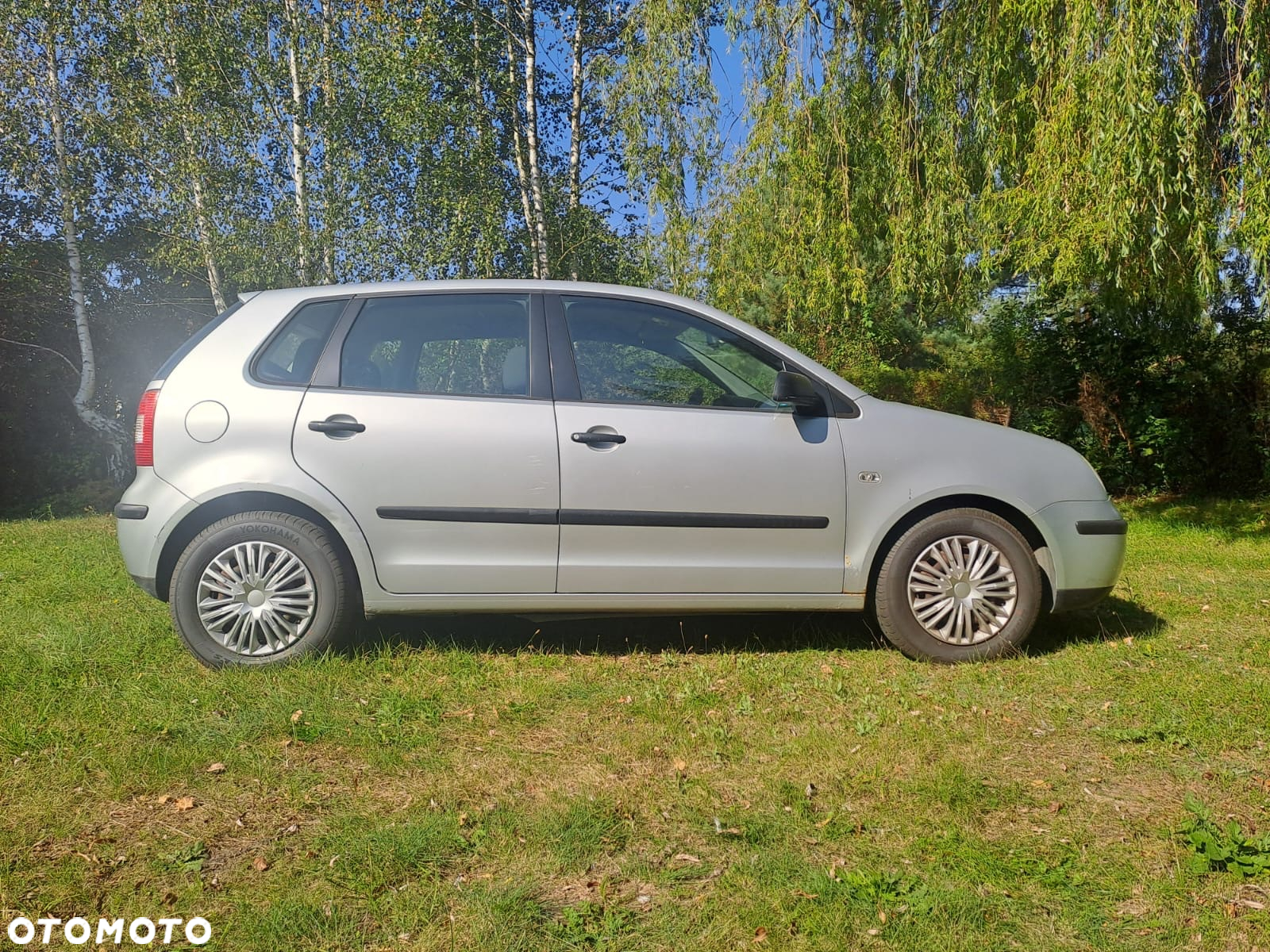 Volkswagen Polo - 8