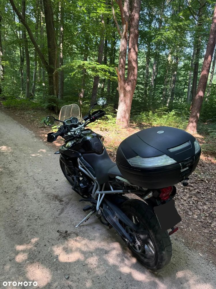 Triumph Tiger - 13