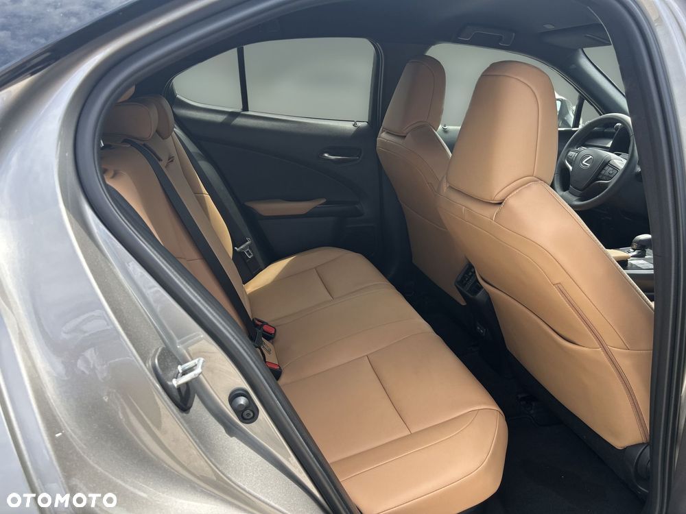 Lexus UX 300h F Sport Design - 11