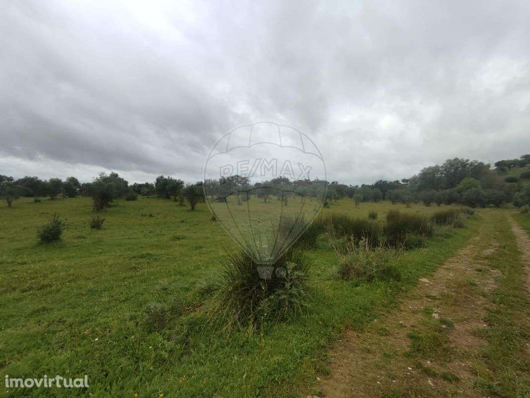 Terreno  para venda - Grande imagem: 2/5