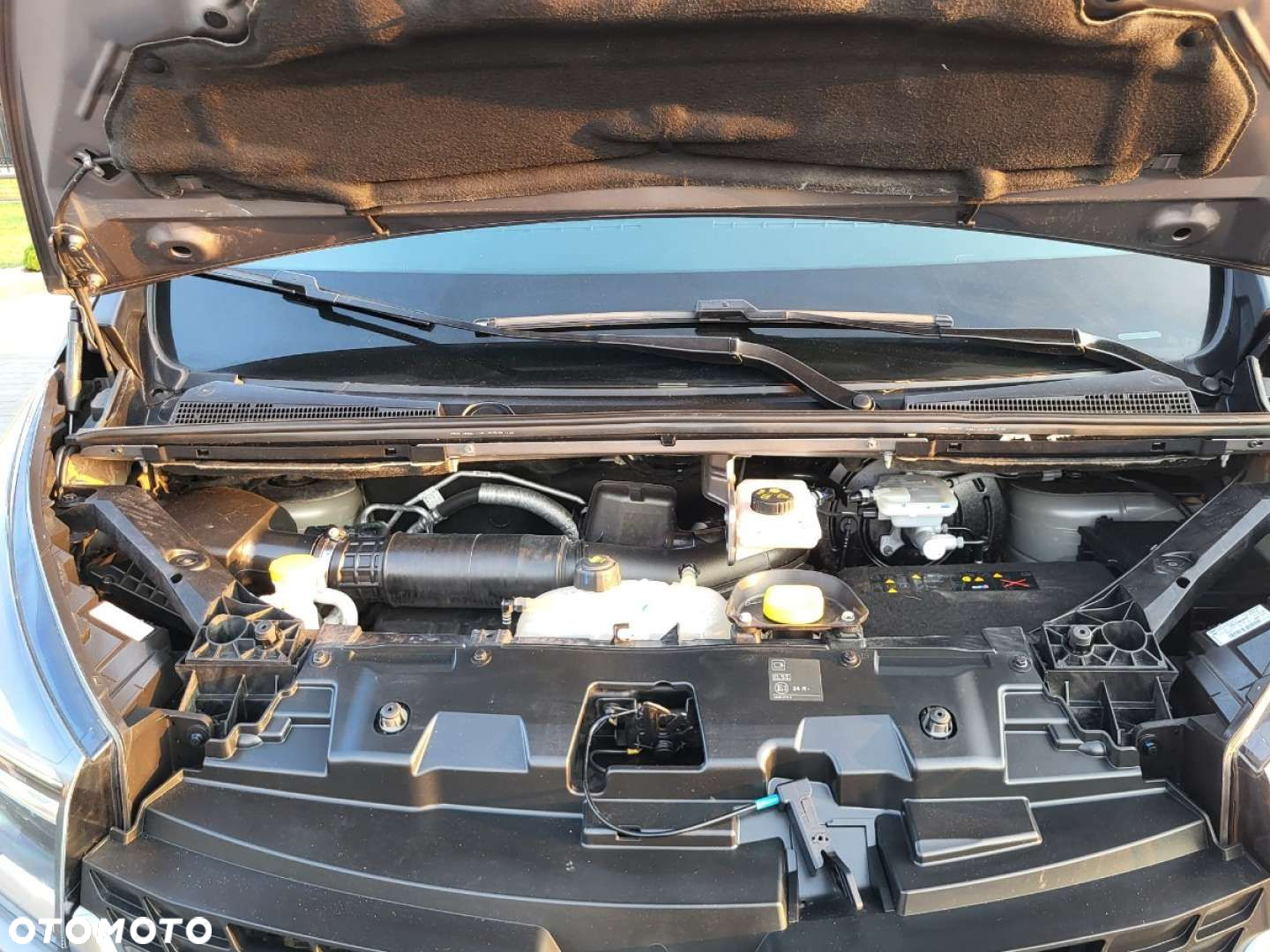 Renault Trafic - 39