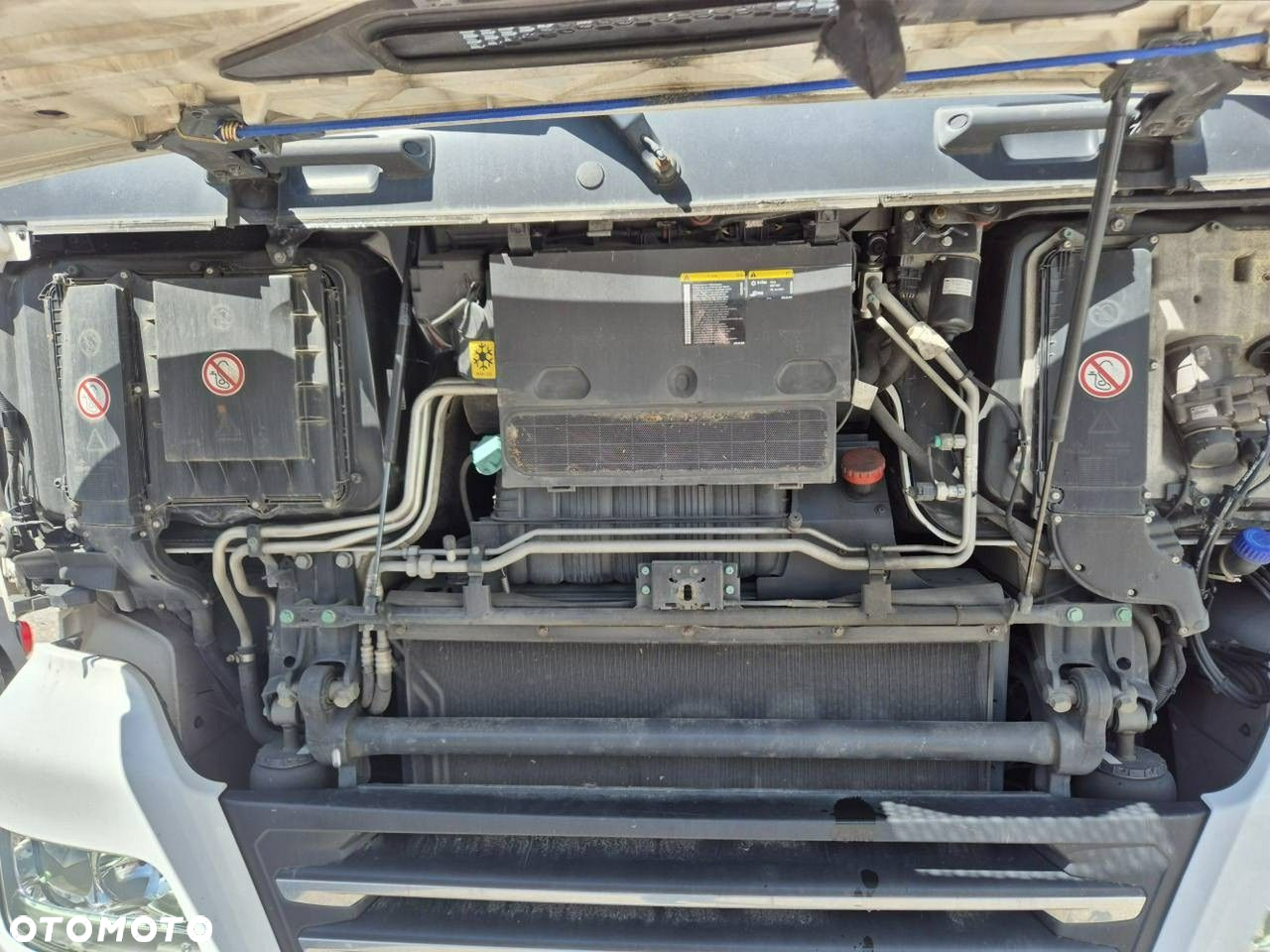 MAN Tgx - 7