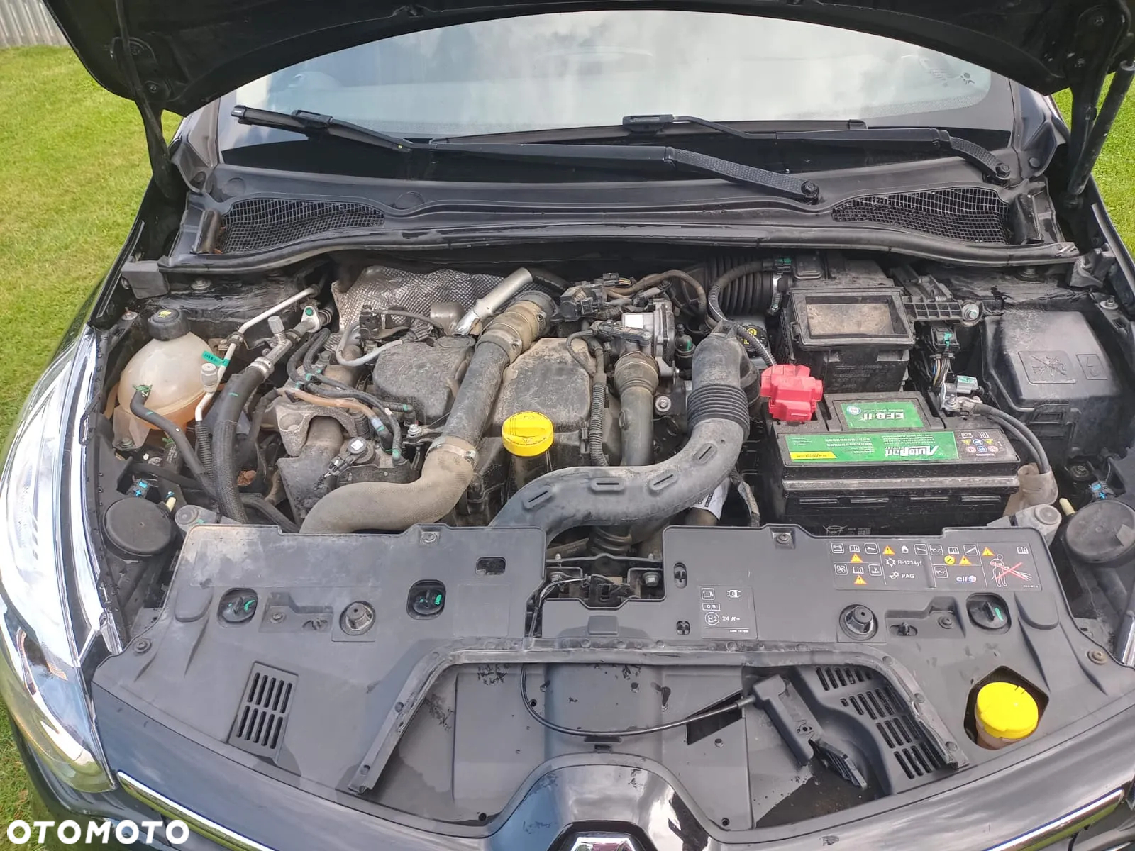 Renault Clio - 11