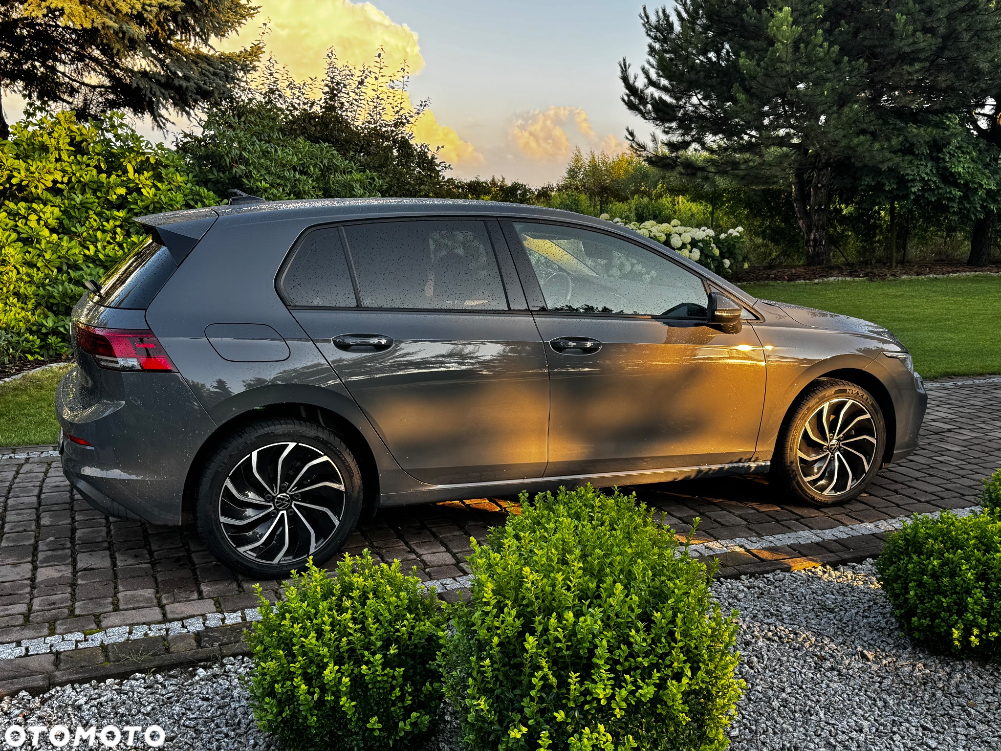 Volkswagen Golf VIII 1.0 TSI Life - 11