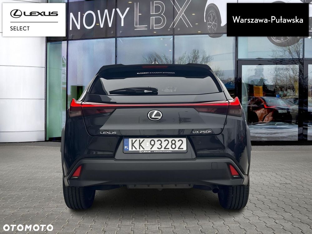 Lexus UX 250h GPF Business 2WD - 8