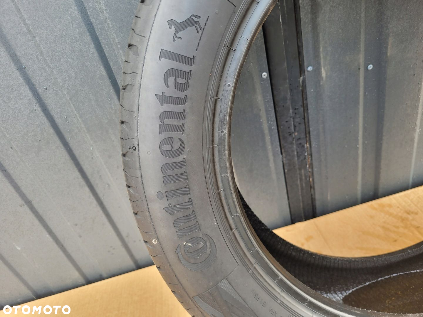 Continental EcoContact 6 205/55R17 91 V - 7