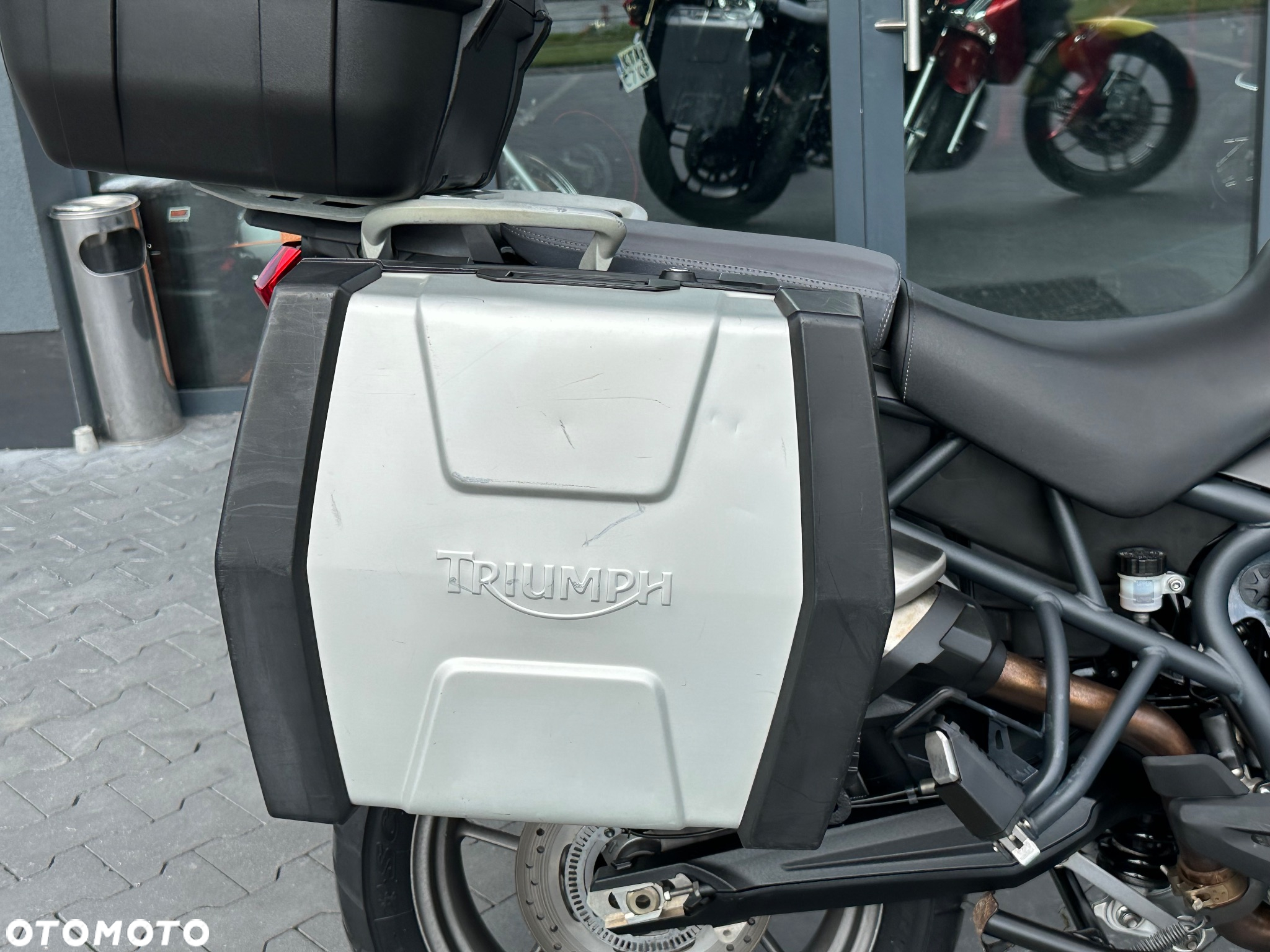Triumph Tiger - 11
