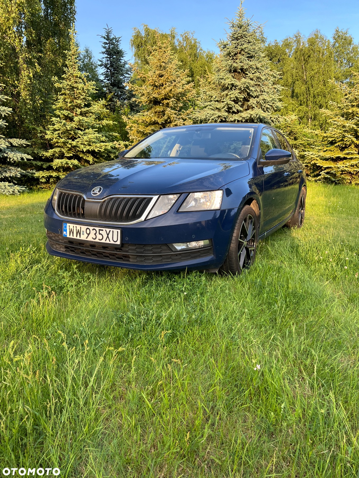 Skoda Octavia 1.6 TDI Ambition - 2