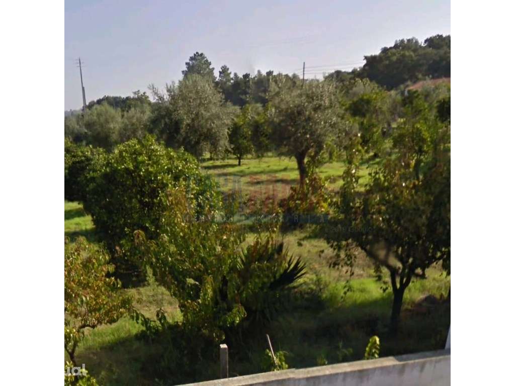 Terreno urbano na chamusca - Santarém - Grande imagem: 3/30