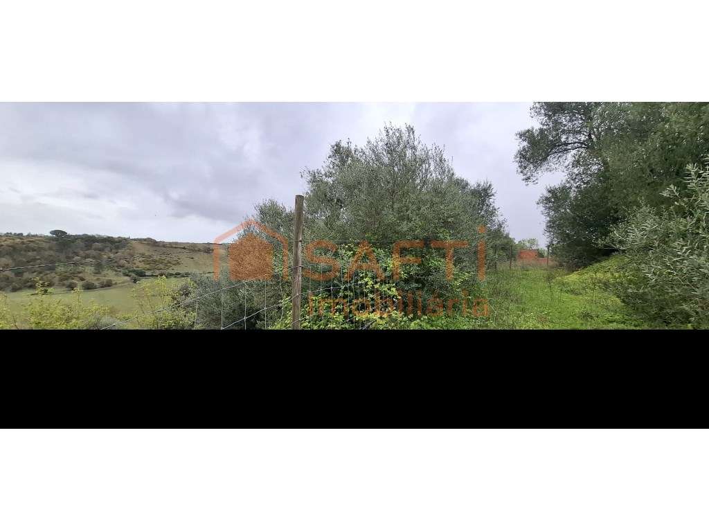 Terreno Misto com possibilidade de construção - Grande imagem: 2/6