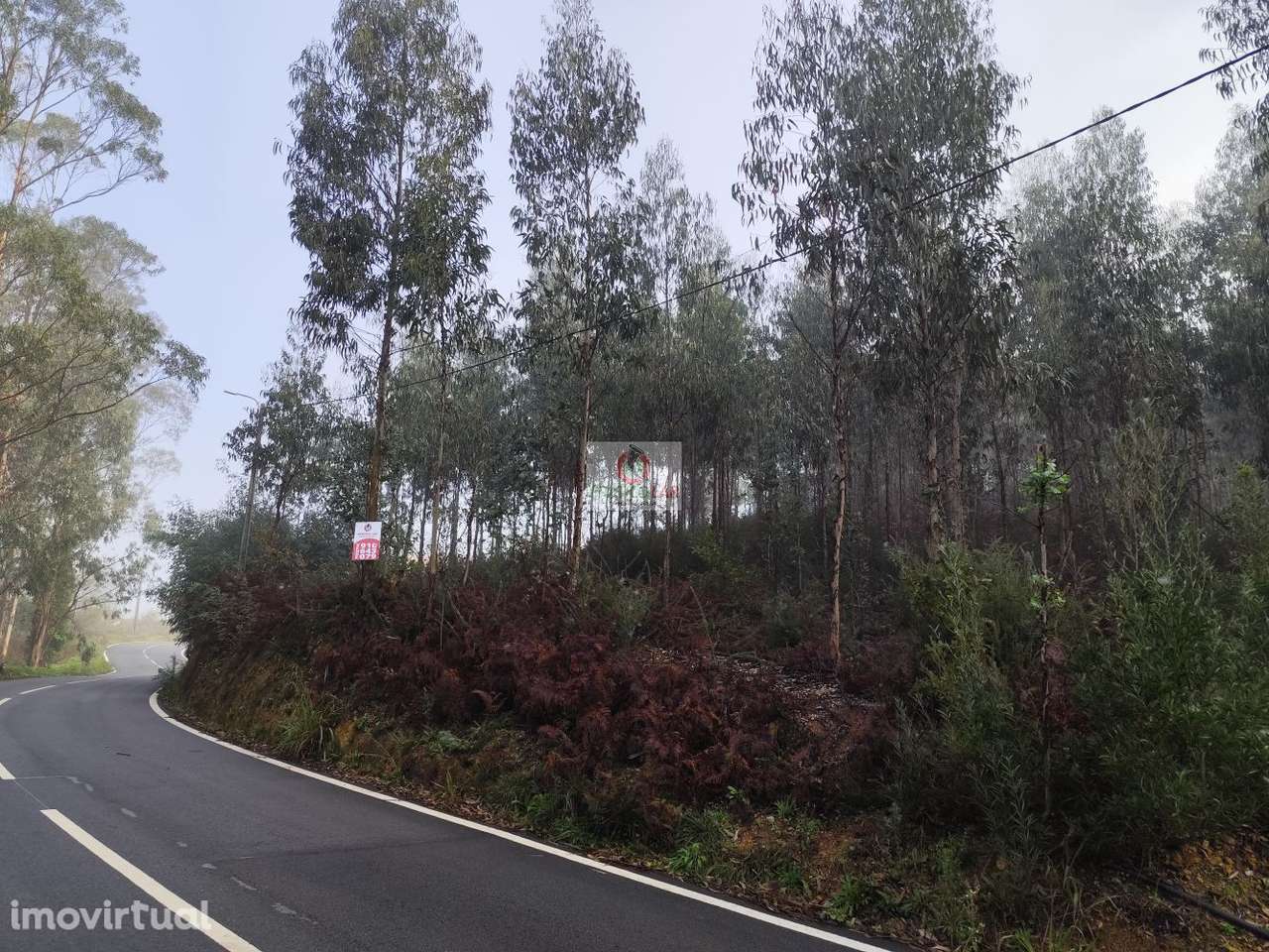 Terreno em Zevedinho, Cedrim com viabilidade de construção - Grande imagem: 3/15