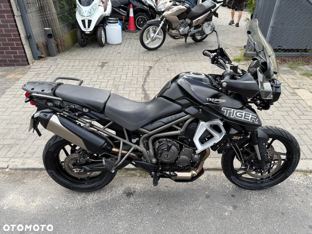 Triumph Tiger - 4