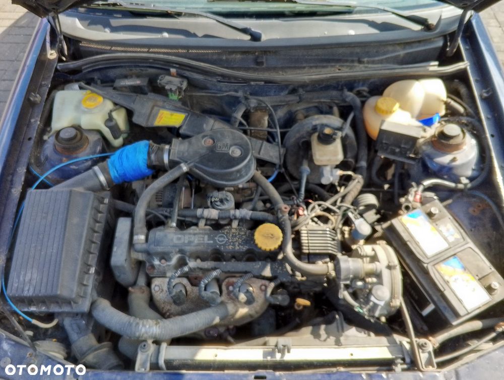 Opel Astra F (94-02r.) 1.6B 74KM. Silnik X16SZR Skrzynia F13 W374.Cały na części. GWARANCJA !!! Przód Tył Zestaw Komplet Drzwi Klapa Zderzak Błotnik Maska Grill Atrapa Szyba Pas Lampa Lusterko Boczki Fotel Kanapa Kokpit Deska Rozdzielcza Przełącznik Włącznik Sterownik Przewody Wiązka Instalacja Moduł Komputer Czujnik Listwa Pompa Alternator Wtryski Głowica Rozrusznik Kompresor Sprzęgło Dwumas Silnik Skrzynia ABS Klimatyzacji Paliwa Wspomagania Kolektor Turbina Przepustnica Zawór Chłodnica Koło Hak Belka Sanki Zawieszenie Mcpherson Półoś Amortyzator Wydech Tłumik Zacisk Most - 9