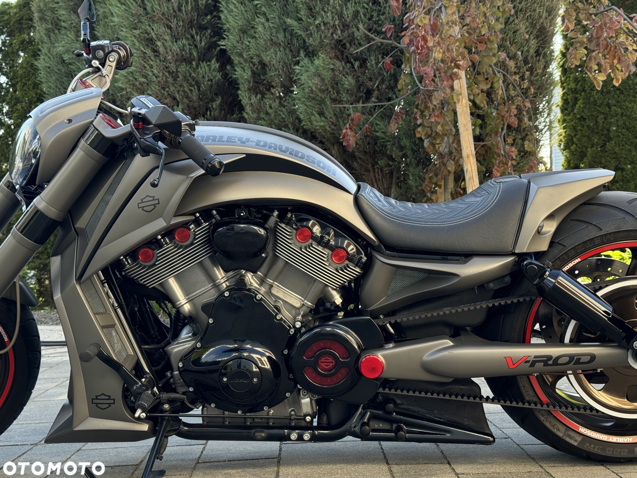 Harley-Davidson V-Rod Night Rod - 24