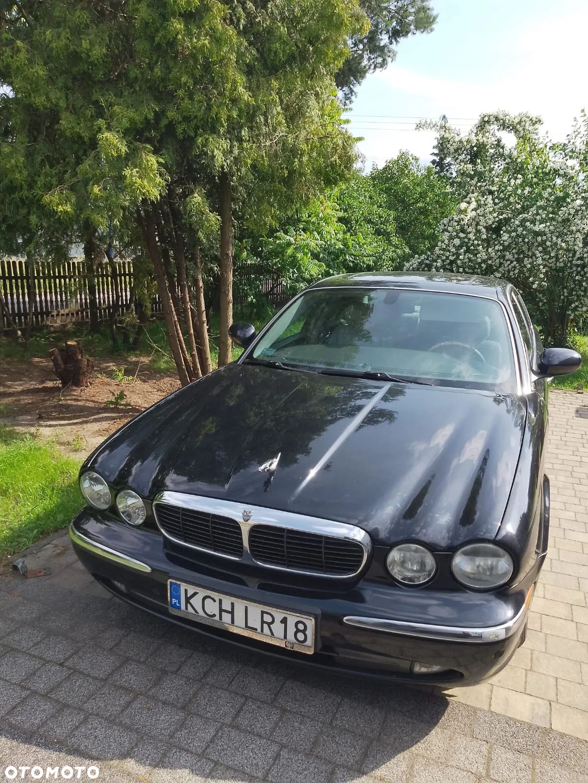 Jaguar XJ - 1