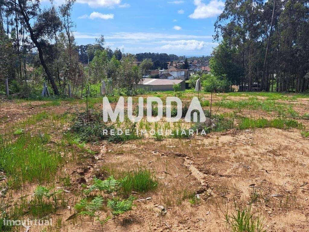 Terreno Rústico com Potencial Agrícola e Turístico – Preço Reduzido - Grande imagem: 4/15