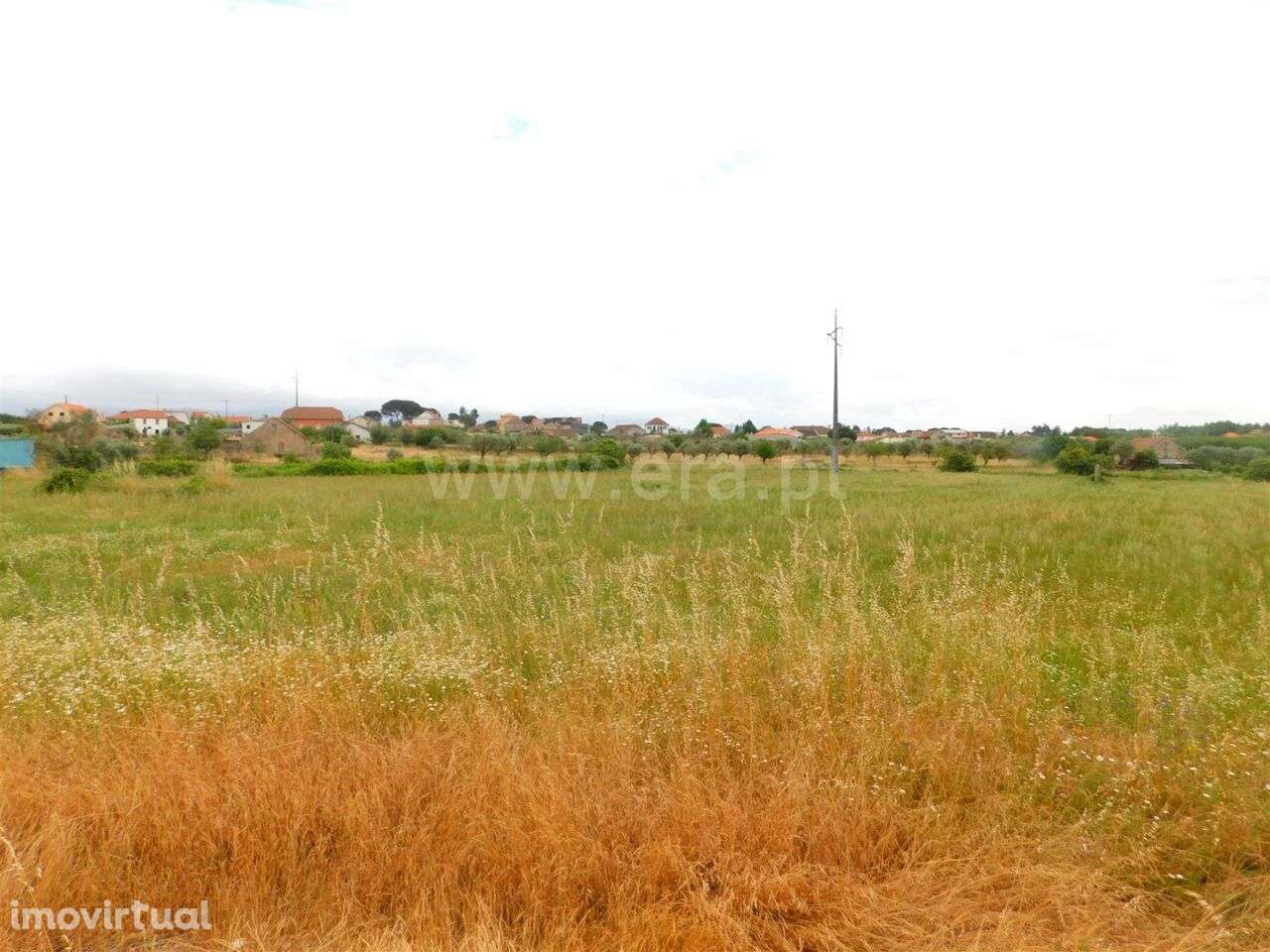 Quinta / Seia, Tourais e Lajes - Grande imagem: 2/12