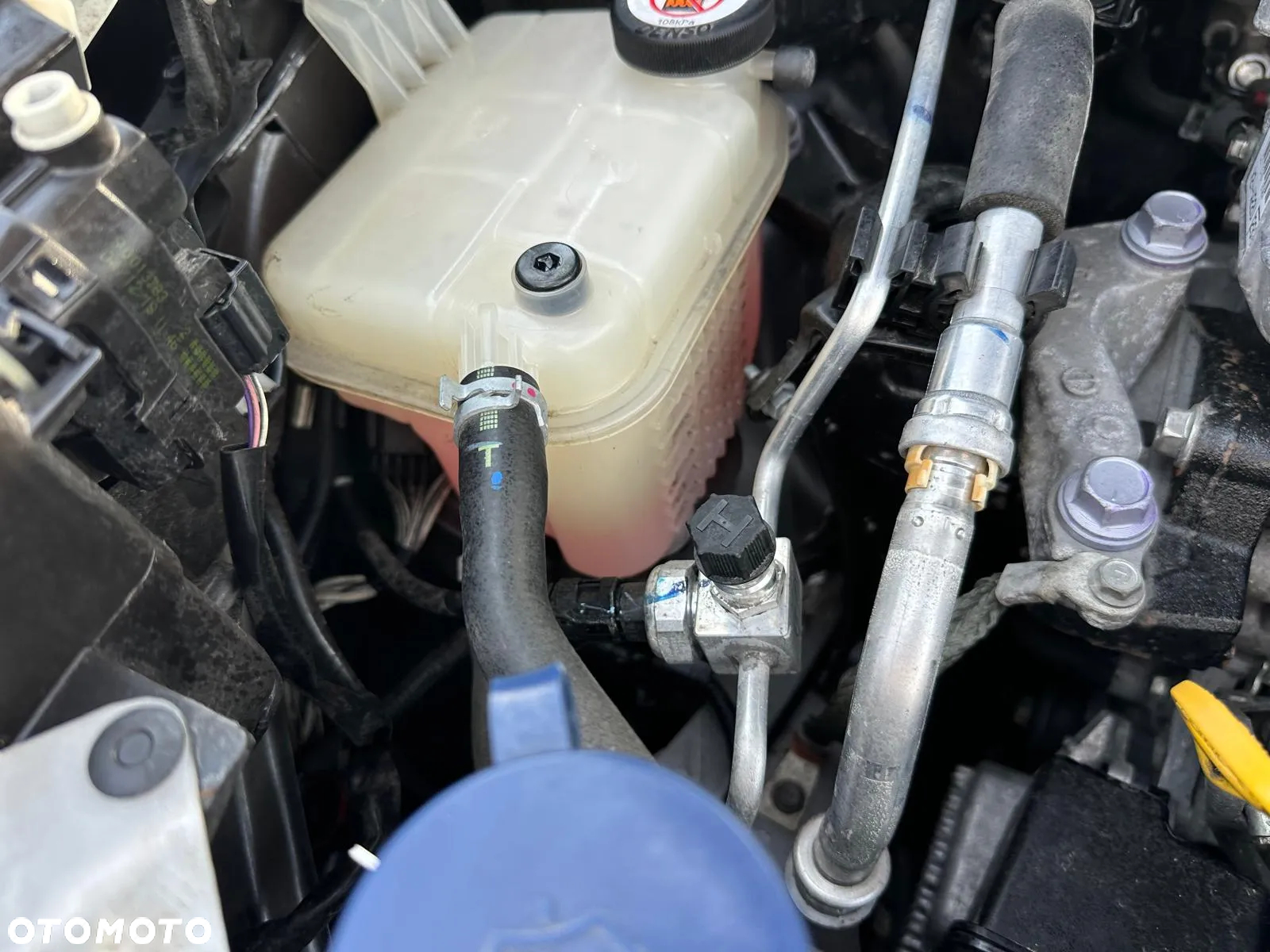 Toyota C-HR Hybrid Business-Edition - 8