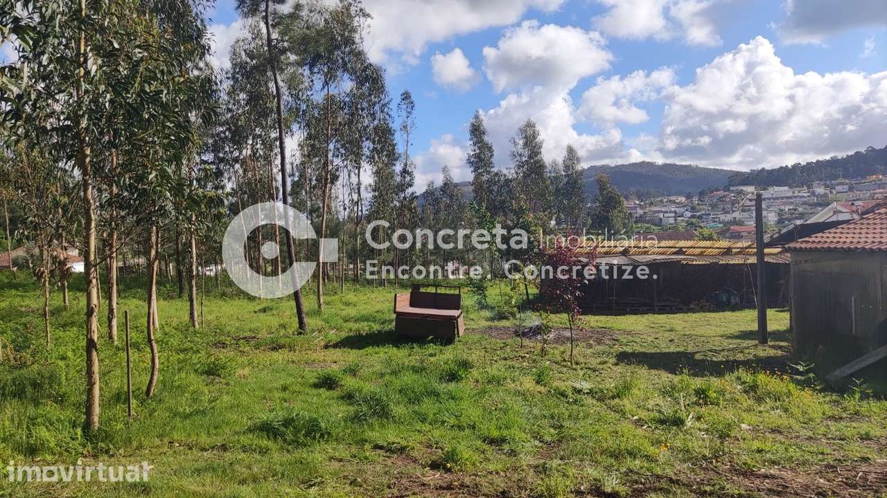 Terreno para Construção em Várzea, Barcelos - Grande imagem: 3/8