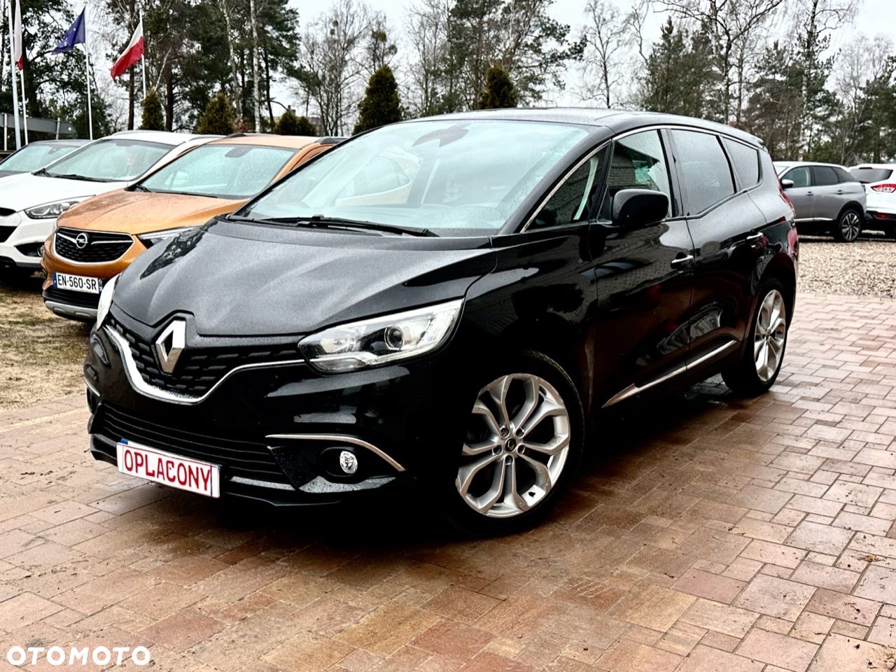 Renault Grand Scenic - 1