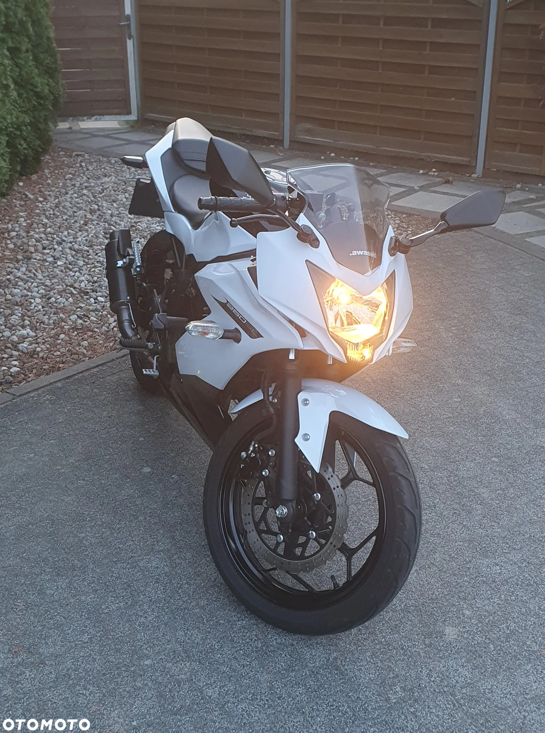 Kawasaki Ninja 250R - 8