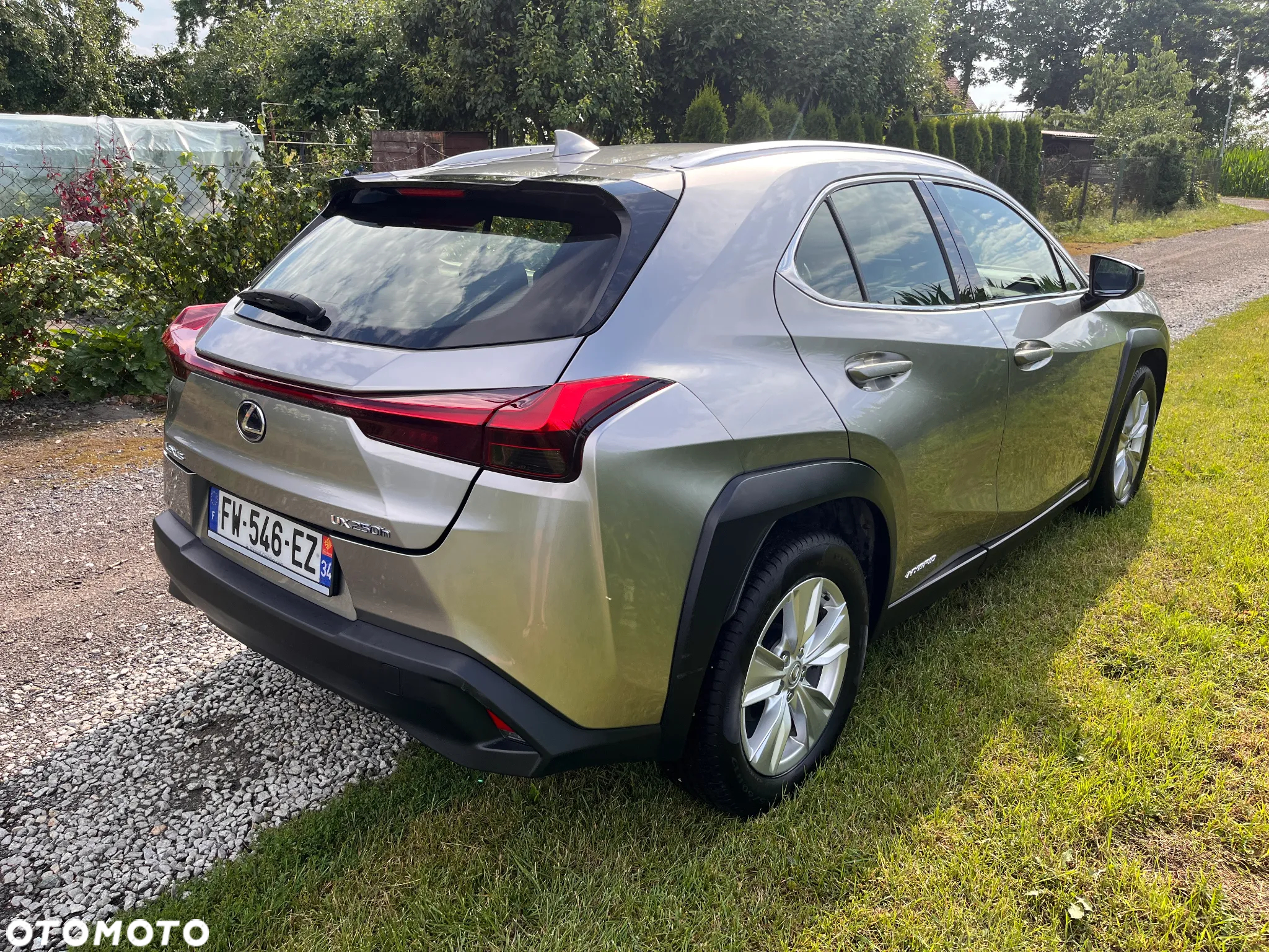 Lexus UX 250h GPF Business 2WD - 4