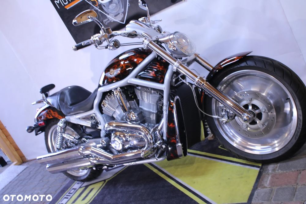 Harley-Davidson V-Rod Street Rod - 7