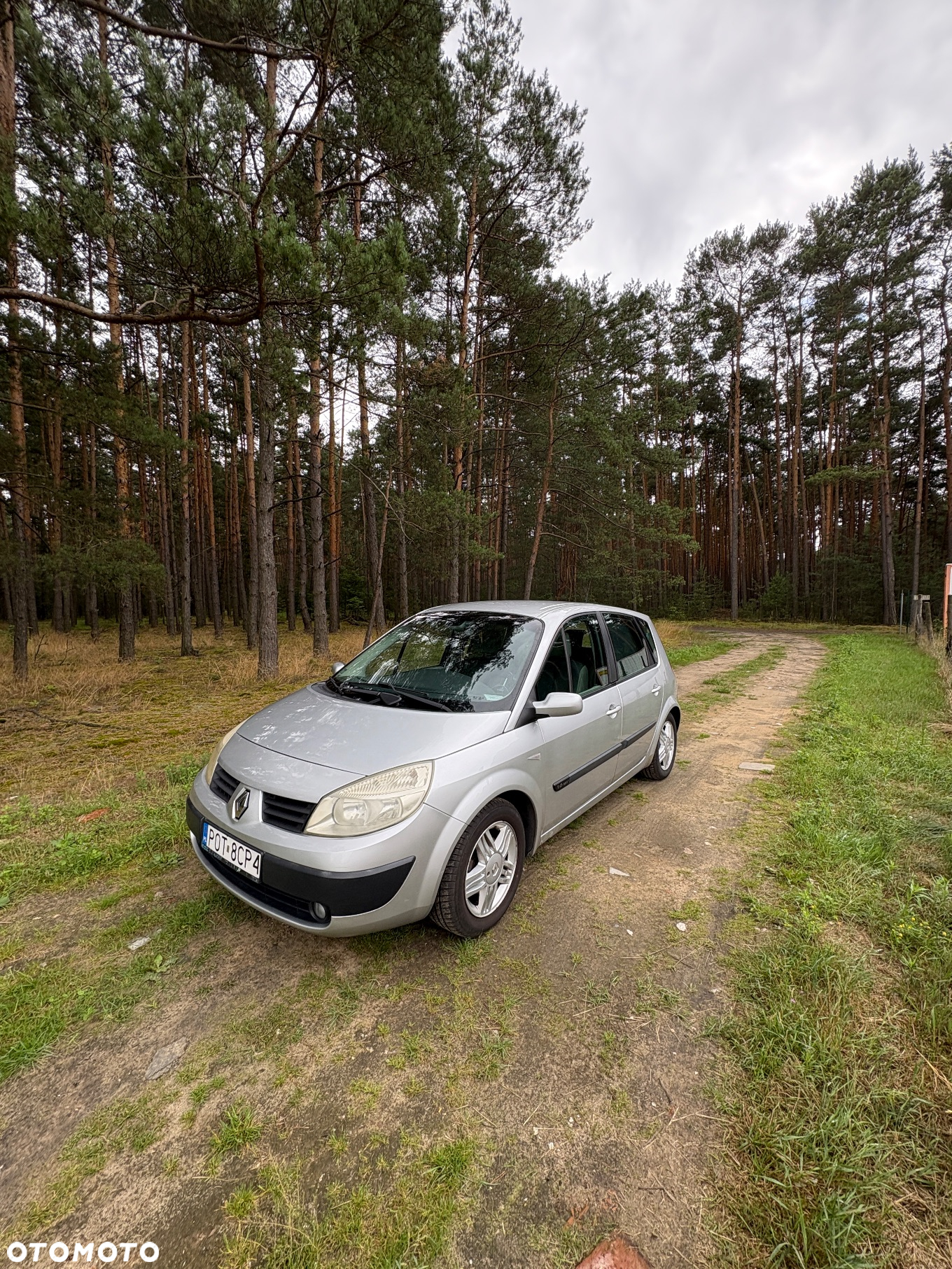 Renault Scenic - 2