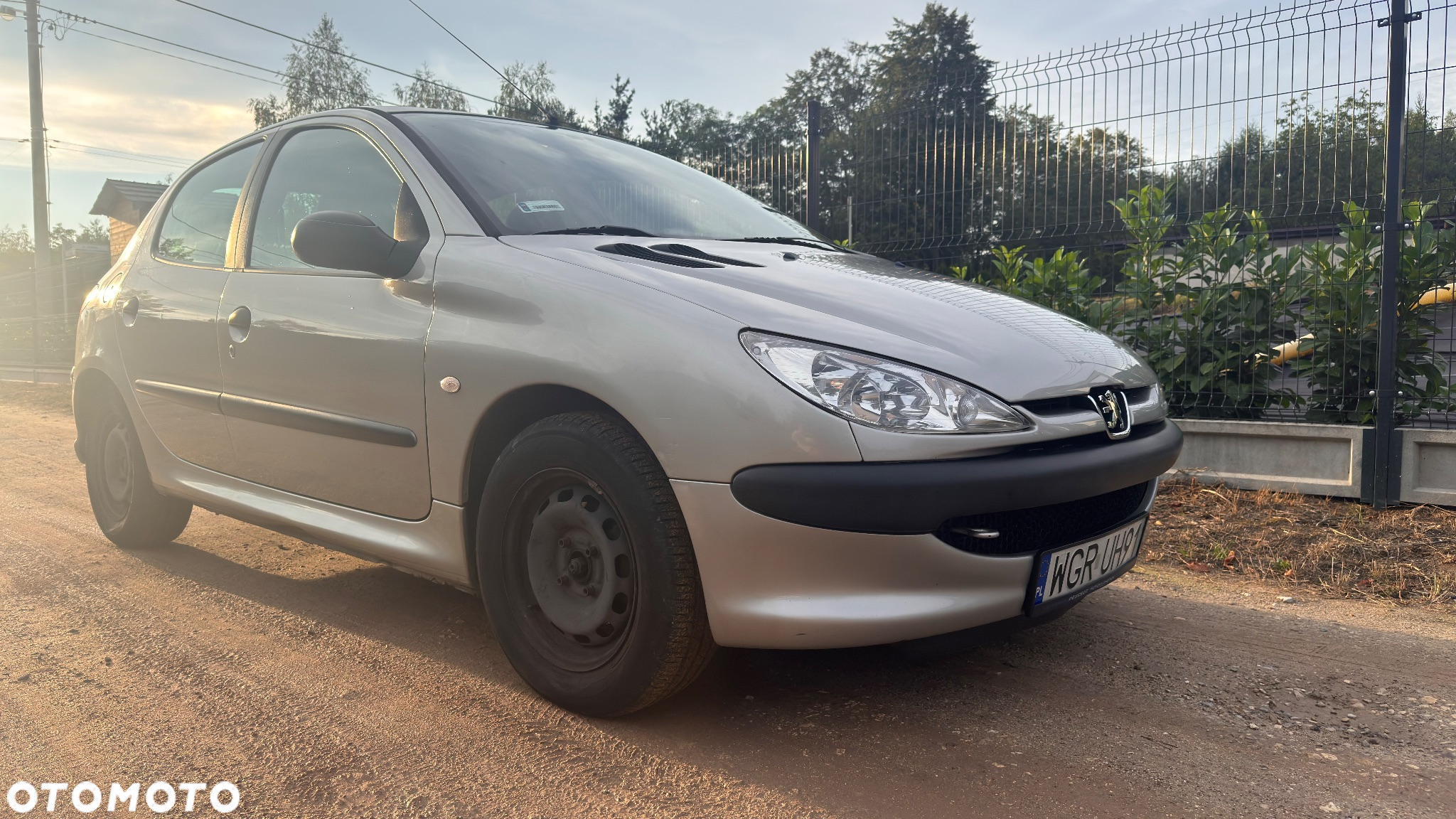 Peugeot 206 - 6