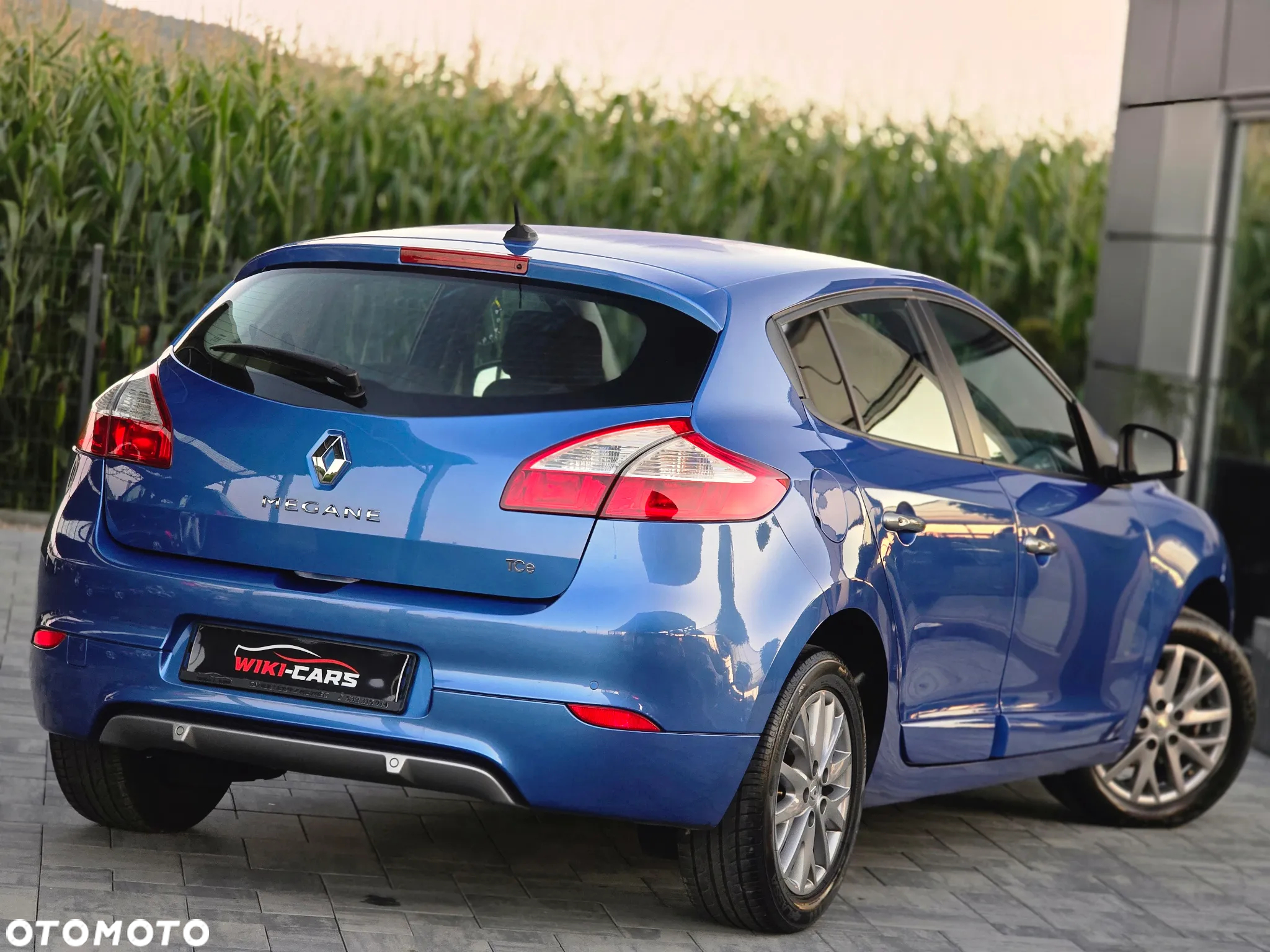 Renault Megane 1.2 16V TCe Energy Limited - 18