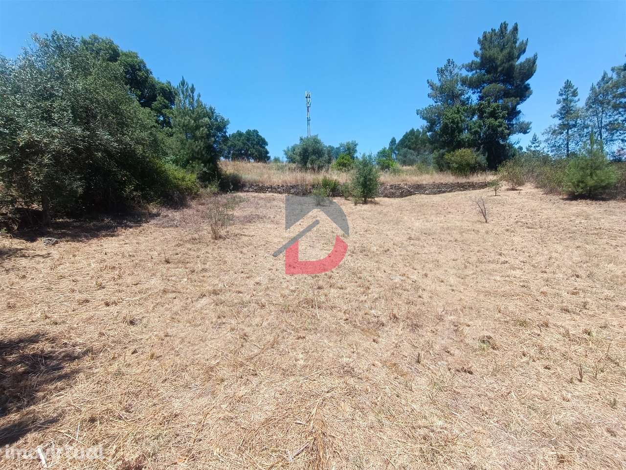 Terreno Rústico - Grande imagem: 2/14