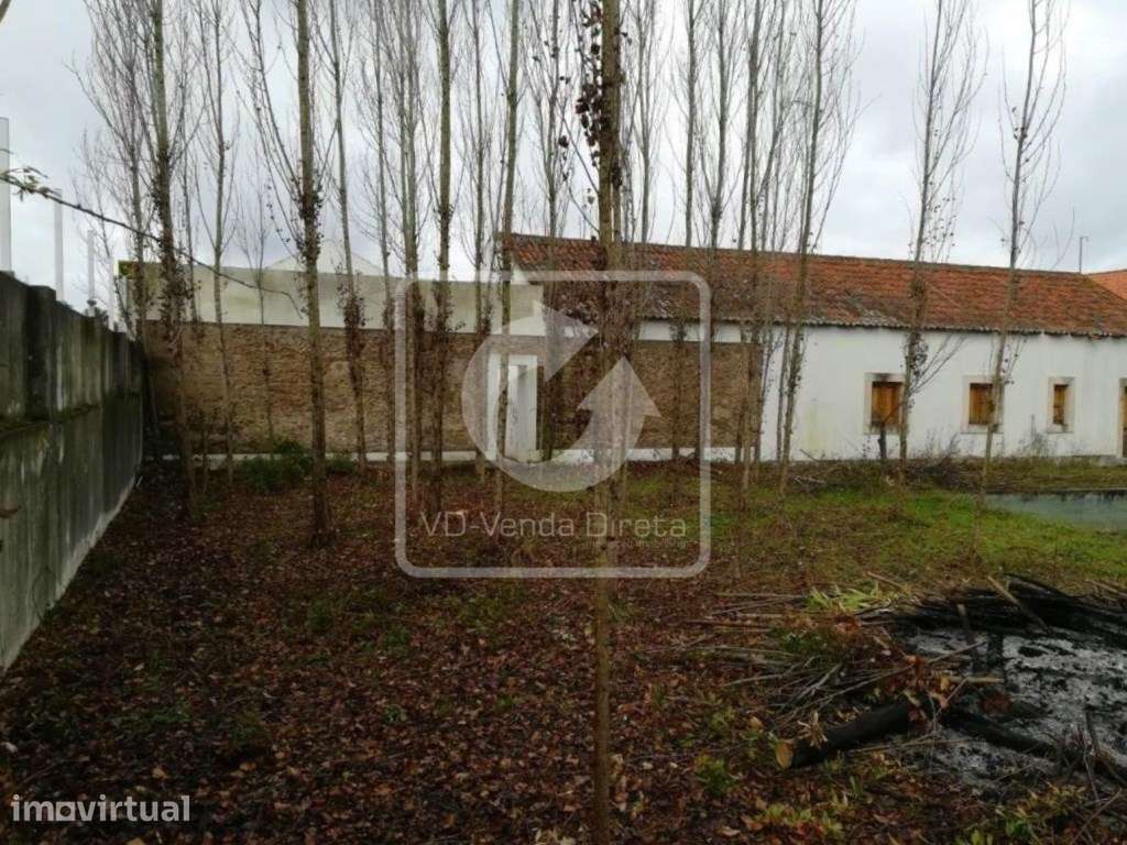 IMÓVEL DA BANCA - Moradia V6 com Sauna e Piscina em Constância - Sa... - Grande imagem: 2/21