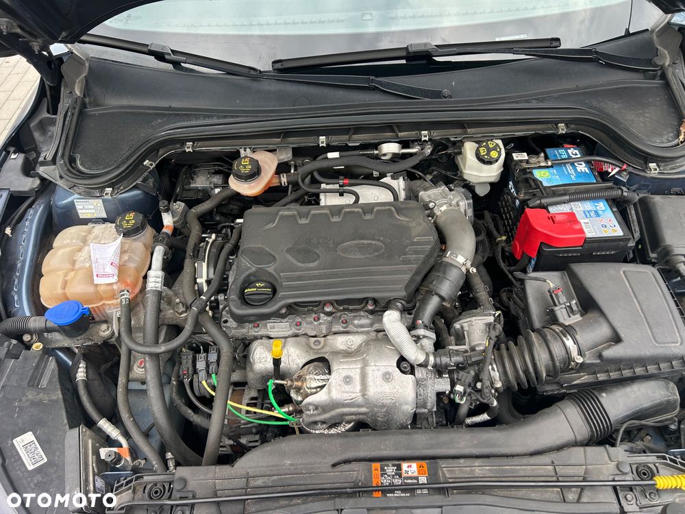 Ford Focus 1.5 EcoBlue Titanium Business - 14