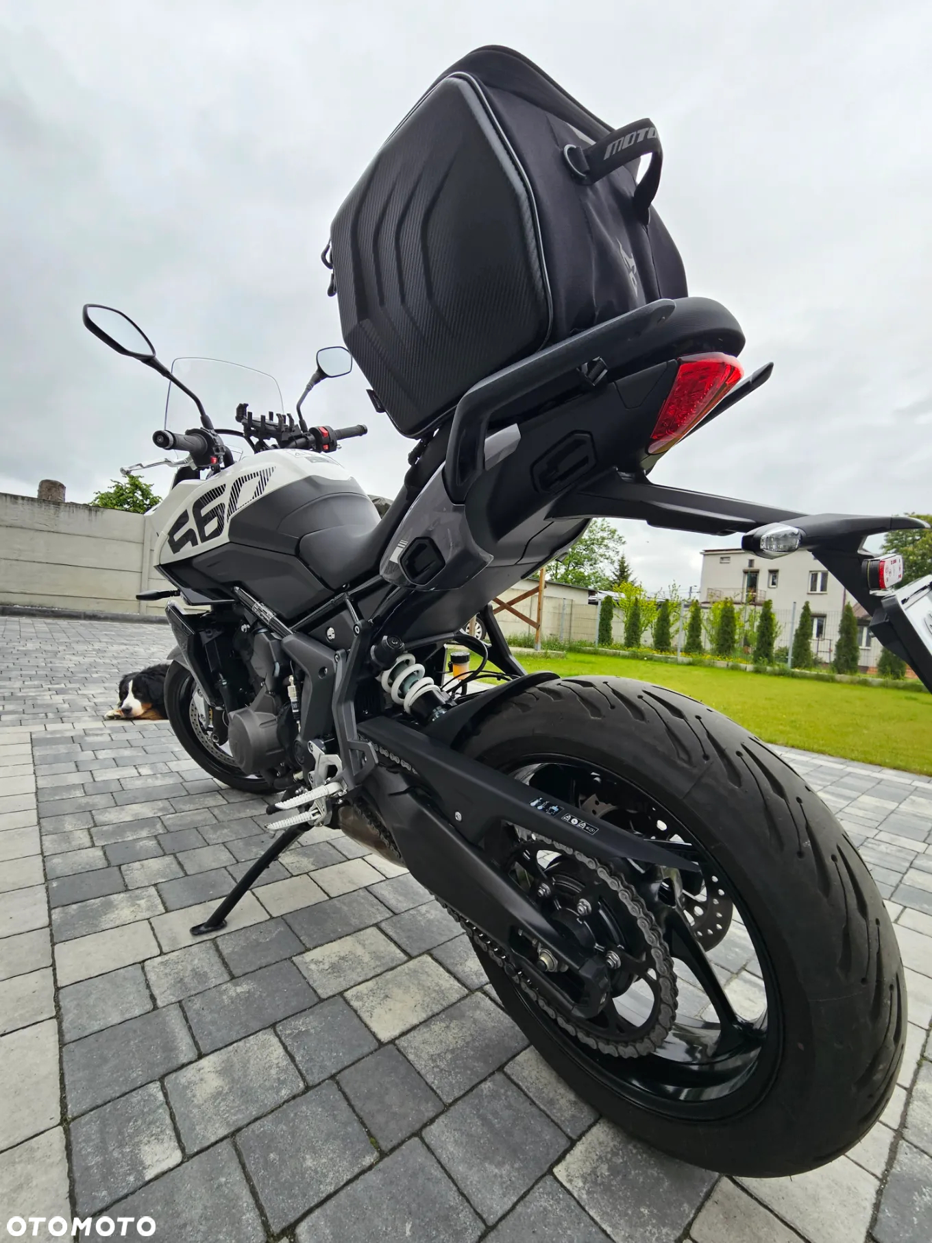 Triumph Tiger - 4