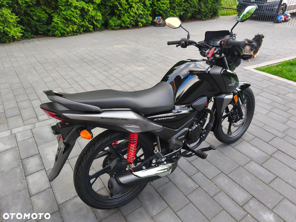 Honda CBF - 3