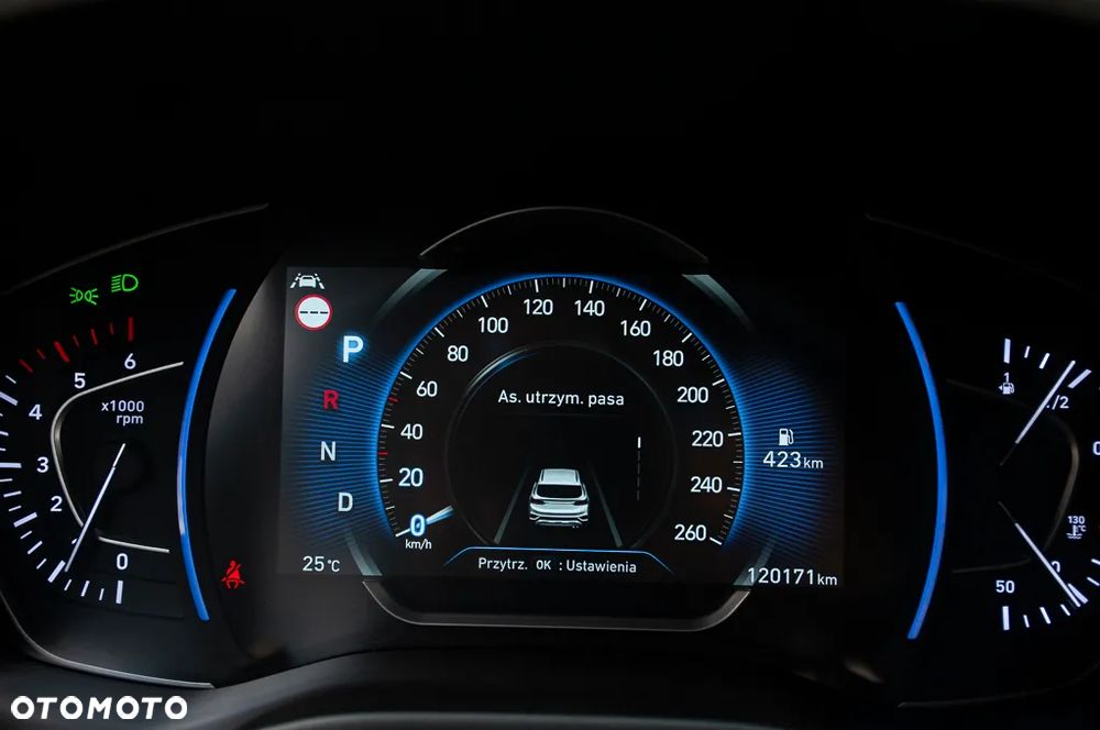 Hyundai Santa Fe 2.0 CRDi Platinum 4WD - 35