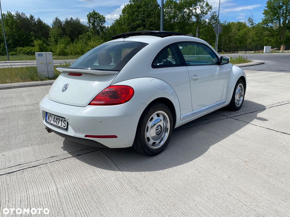 Volkswagen Beetle - 5