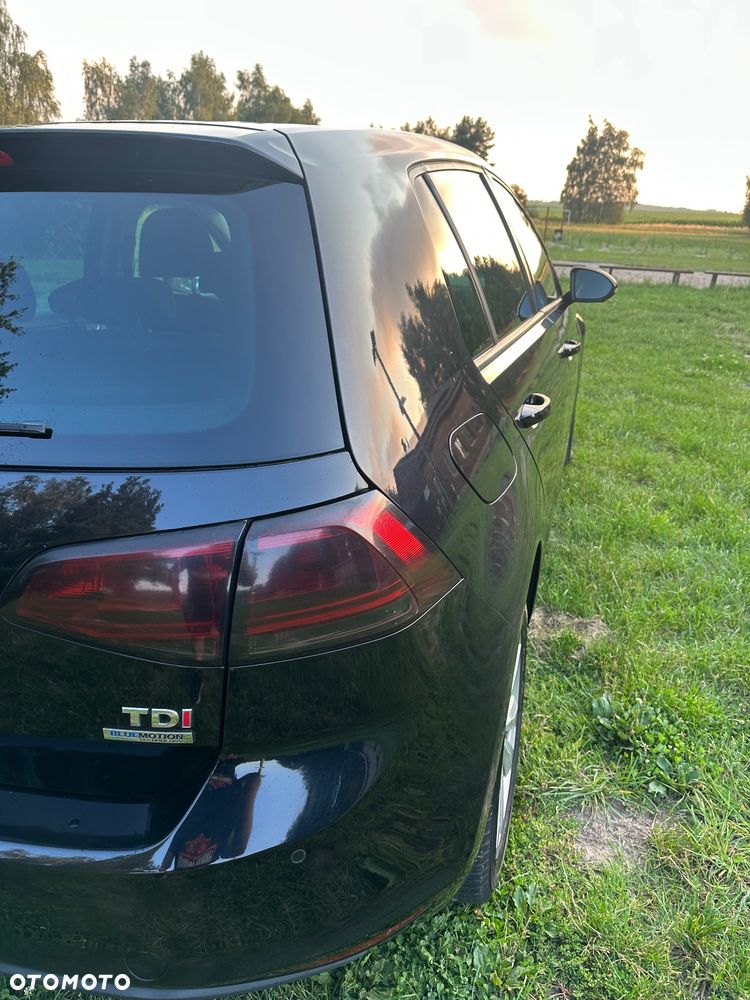 Volkswagen Golf - 7