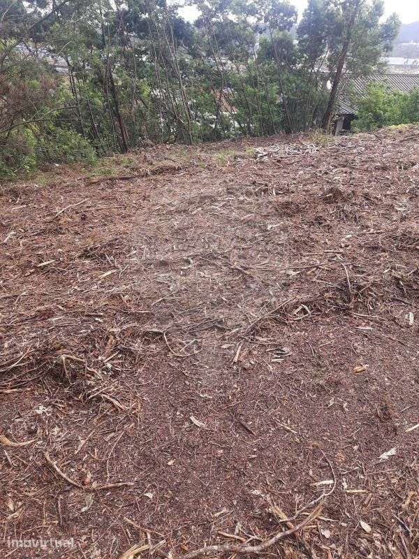 Terreno  para venda - Grande imagem: 3/6