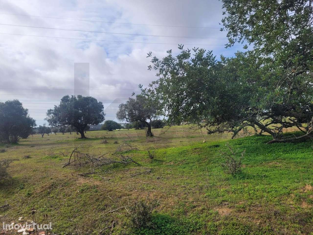 DOIS TERRENOS RÚSTICOS COM O TOTAL DE 12160M2 PARA VENDA EM CORTEZÕES- - Grande imagem: 3/16