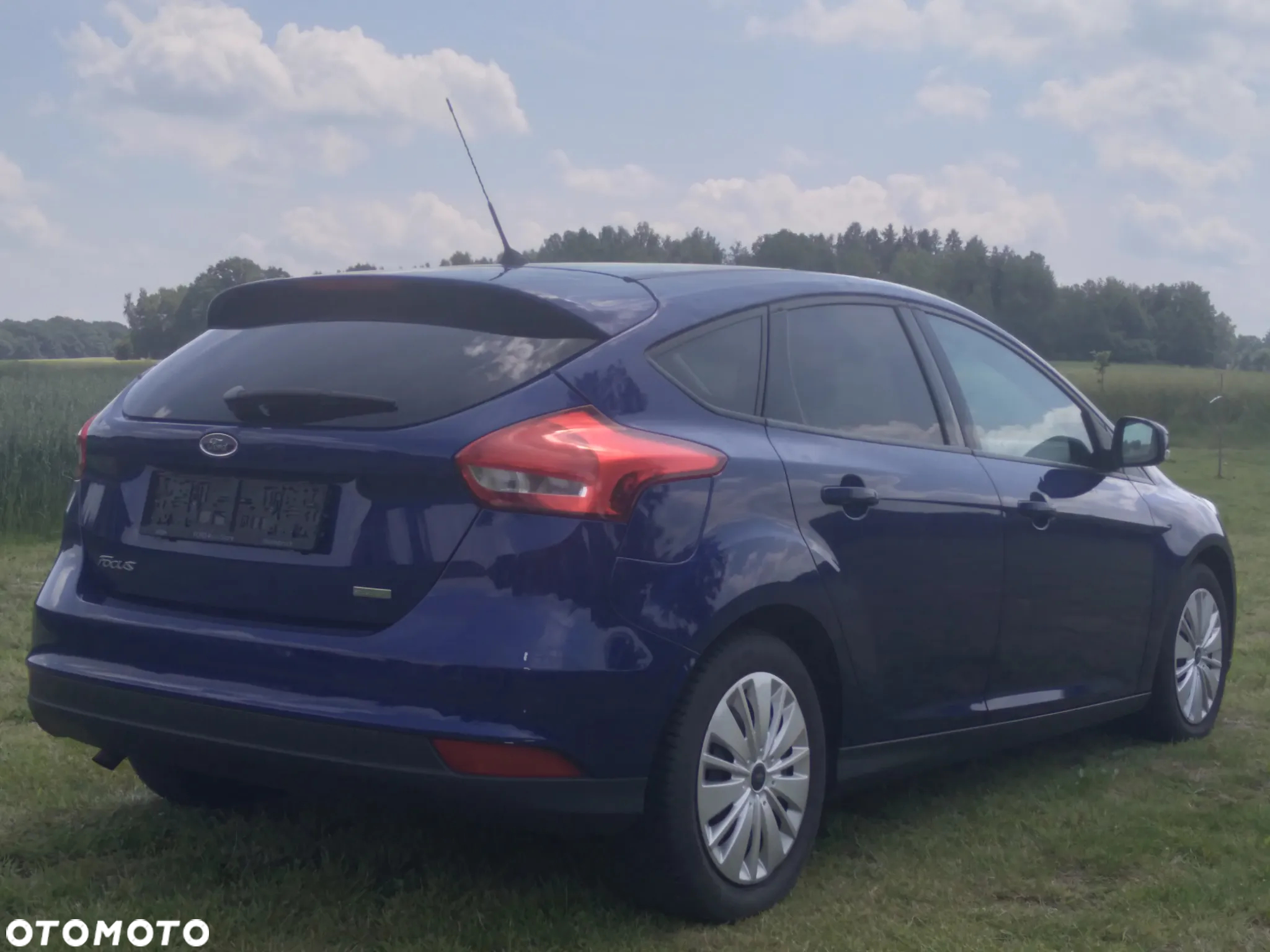 Ford Focus - 4