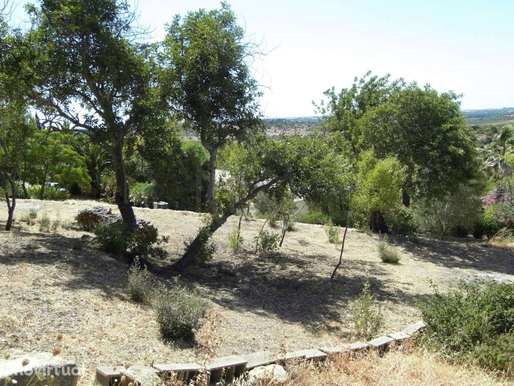 Terreno misto na Mexilhoeira Grande, Algarve - Grande imagem: 5/17