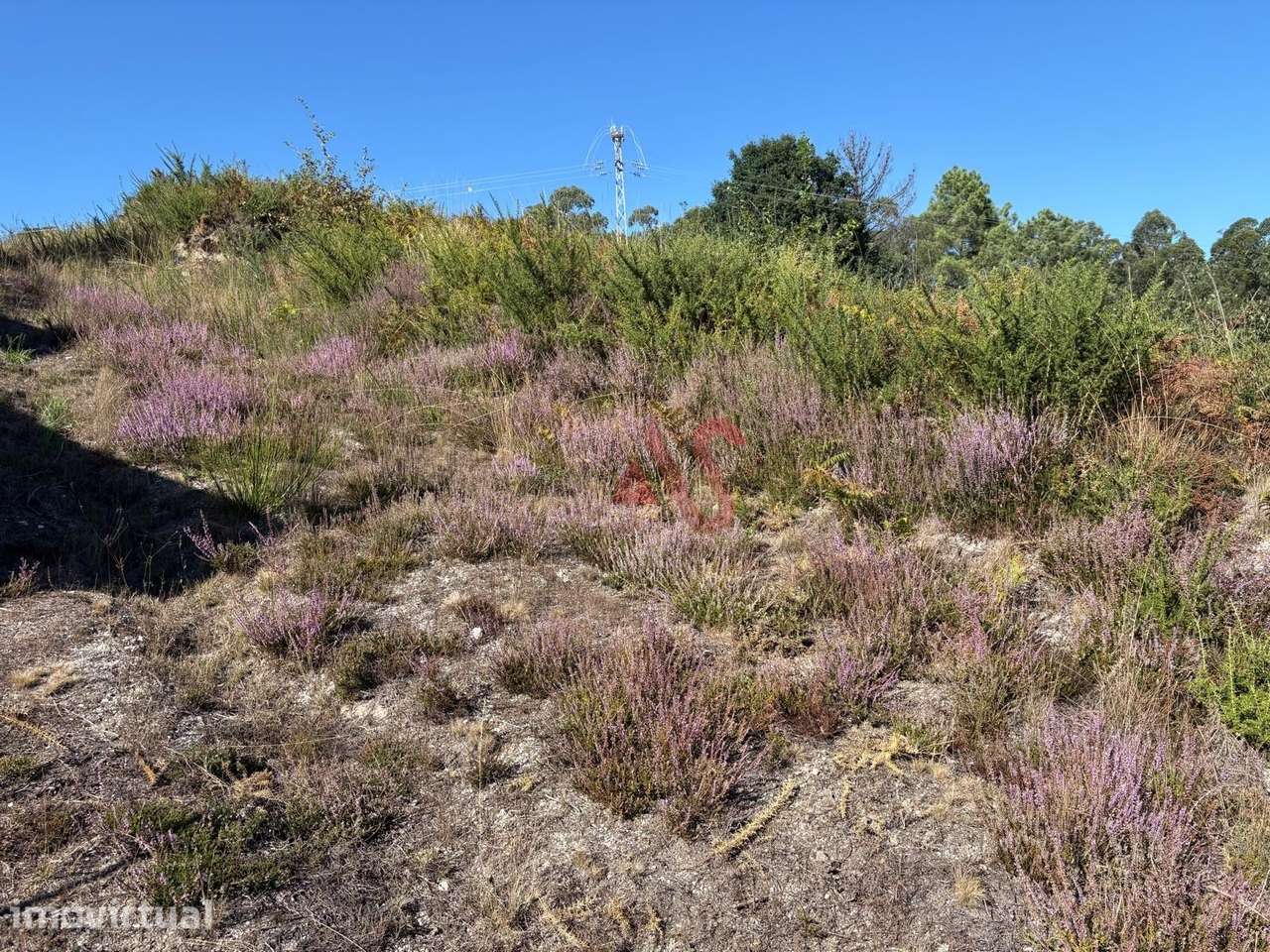 Terreno para Construção em Silvares (São Martinho), Fafe | 3.834 m² - Grande imagem: 3/7