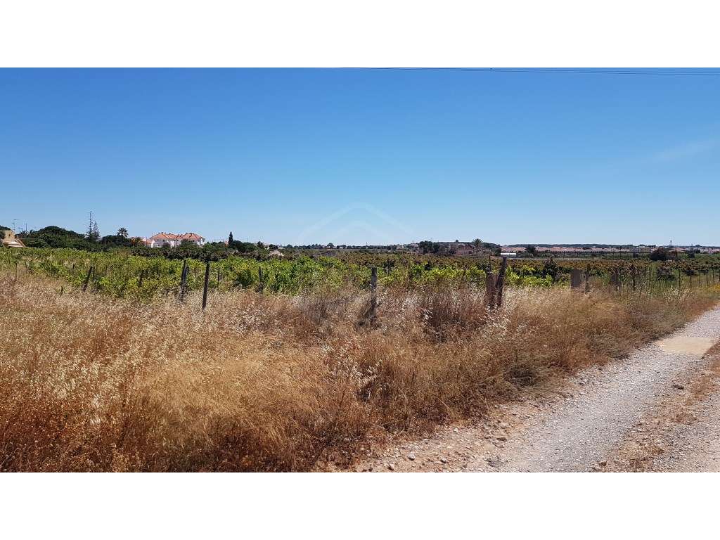 Terreno rústico, Vila nova de Cacela, Algarve - Grande imagem: 3/5