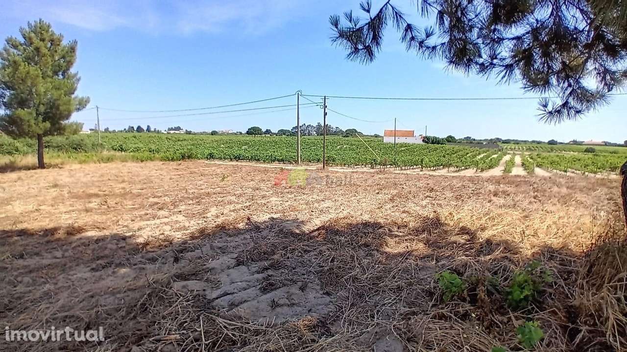 Terreno com 9.750 m2 em Palmela  - Agualva de Cima, Lagameças - Grande imagem: 2/9